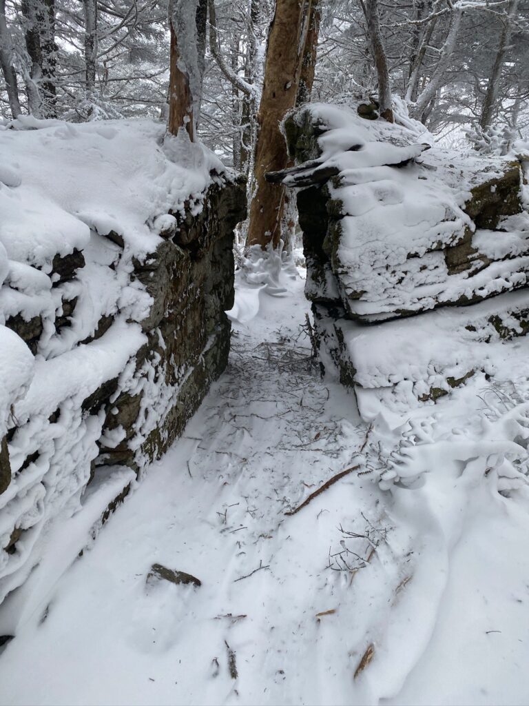 Grandfather Mountain, shelter from the storm