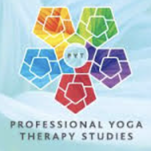 The PYTI Program is a Game Changer for Health Care